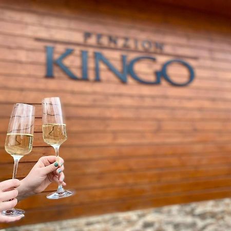 Penzion Kingo Nemšová Buitenkant foto